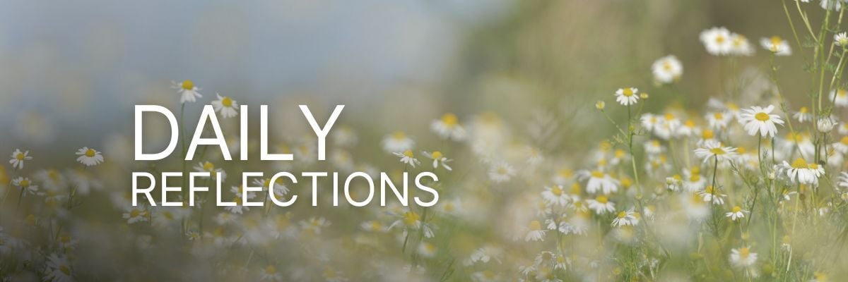 HS-DailyReflectionsHeader HS-DailyReflectionsHeader
